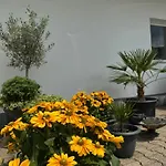 Zur Post 3* ארנסברג