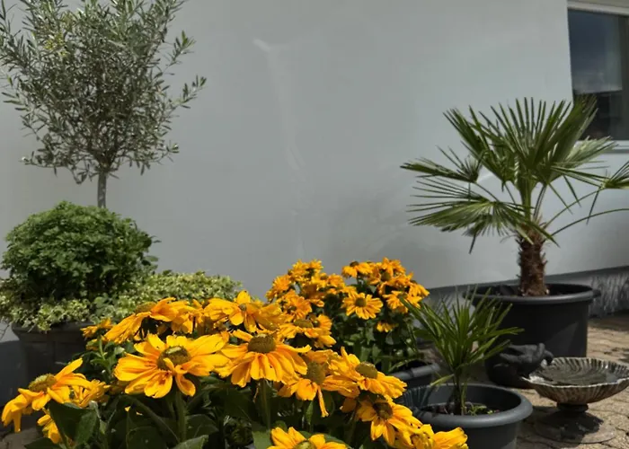 Zur Post 3* 阿恩斯贝格